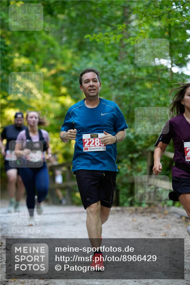 28.09.2025 - 33. Volkslauf durch das schöne Alstertal Patografie http://msf.ph/oto/8966429 28.09.2025 09:39:05 Laufen 2285 meine-sportfotos.de