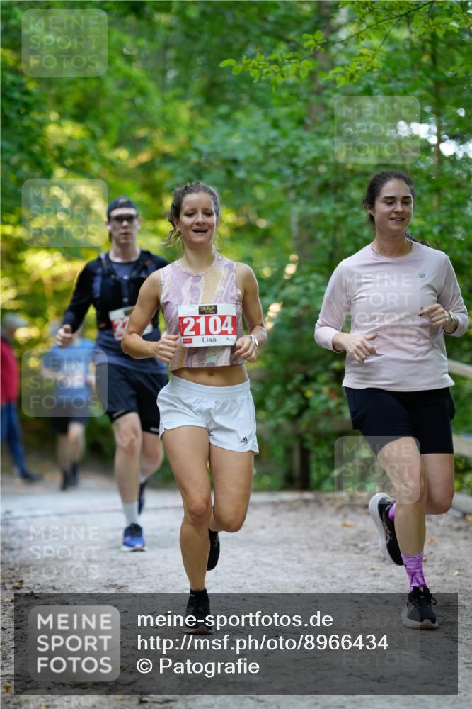 28.09.2025 - 33. Volkslauf durch das schöne Alstertal Patografie http://msf.ph/oto/8966434 28.09.2025 09:39:10 Laufen 2104, 17 meine-sportfotos.de