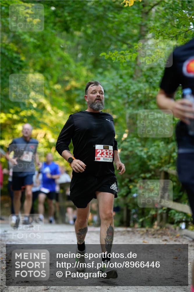 28.09.2025 - 33. Volkslauf durch das schöne Alstertal Patografie http://msf.ph/oto/8966446 28.09.2025 09:39:43 Laufen 2332 meine-sportfotos.de