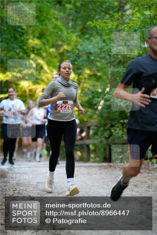 28.09.2025 - 33. Volkslauf durch das schöne Alstertal Patografie http://msf.ph/oto/8966447 28.09.2025 09:39:45 Laufen 2226 meine-sportfotos.de