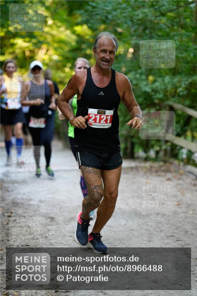 28.09.2025 - 33. Volkslauf durch das schöne Alstertal Patografie http://msf.ph/oto/8966488 28.09.2025 09:40:56 Laufen 2121 meine-sportfotos.de