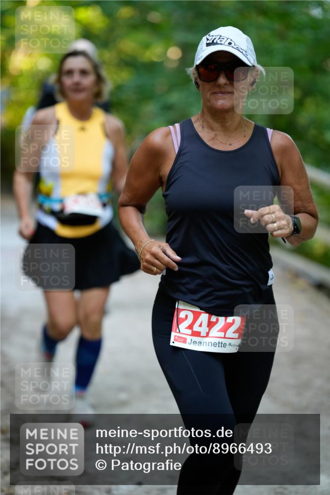 28.09.2025 - 33. Volkslauf durch das schöne Alstertal Patografie http://msf.ph/oto/8966493 28.09.2025 09:40:58 Laufen 2422 meine-sportfotos.de