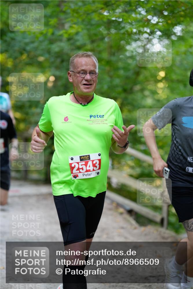 28.09.2025 - 33. Volkslauf durch das schöne Alstertal Patografie http://msf.ph/oto/8966509 28.09.2025 09:41:35 Laufen 2025, 0, 2543, 40 meine-sportfotos.de