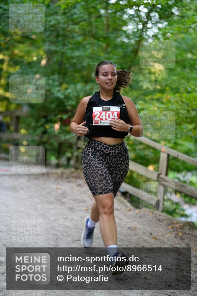 28.09.2025 - 33. Volkslauf durch das schöne Alstertal Patografie http://msf.ph/oto/8966514 28.09.2025 09:41:55 Laufen 2404 meine-sportfotos.de