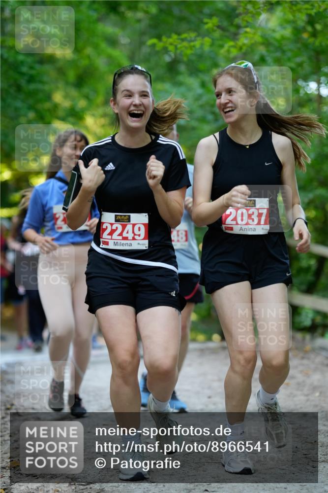 28.09.2025 - 33. Volkslauf durch das schöne Alstertal Patografie http://msf.ph/oto/8966541 28.09.2025 09:44:09 Laufen 2249, 48, 2037 meine-sportfotos.de