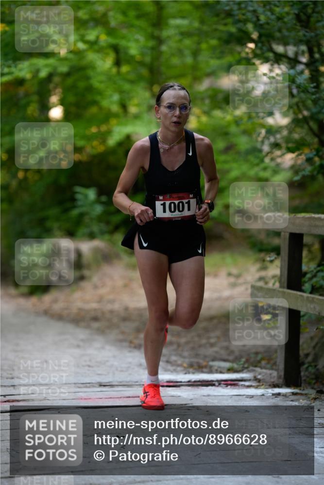 28.09.2025 - 33. Volkslauf durch das schöne Alstertal Patografie http://msf.ph/oto/8966628 28.09.2025 09:53:58 Laufen 1001 meine-sportfotos.de