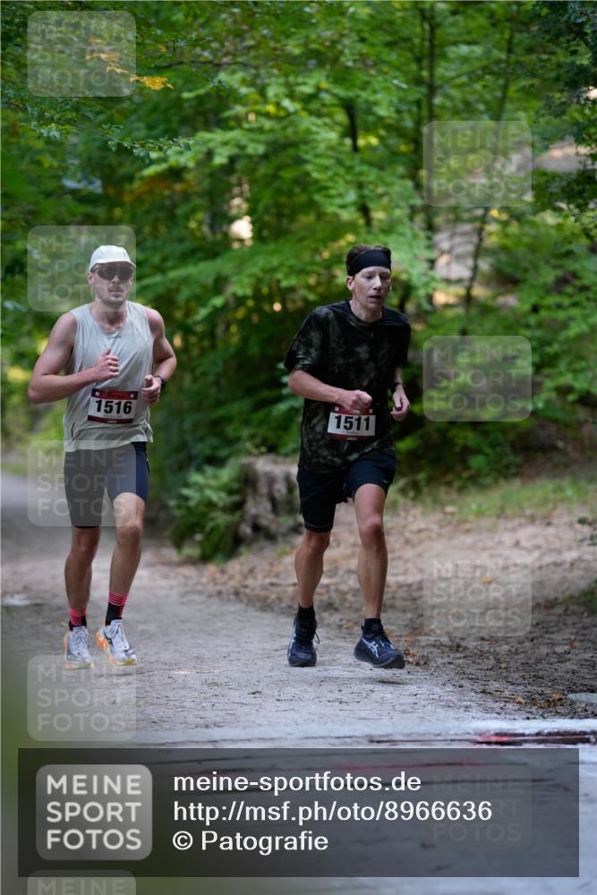 28.09.2025 - 33. Volkslauf durch das schöne Alstertal Patografie http://msf.ph/oto/8966636 28.09.2025 09:55:21 Laufen 1516, 1511 meine-sportfotos.de