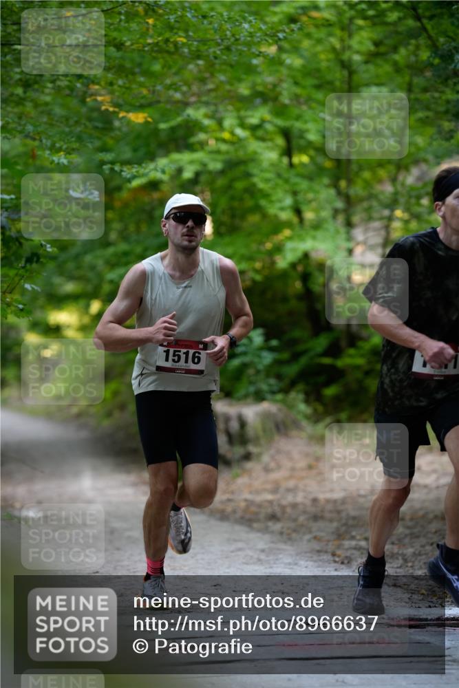 28.09.2025 - 33. Volkslauf durch das schöne Alstertal Patografie http://msf.ph/oto/8966637 28.09.2025 09:55:21 Laufen 1516 meine-sportfotos.de