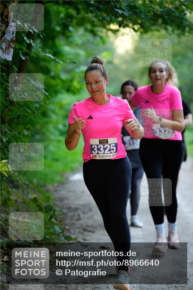 28.09.2025 - 33. Volkslauf durch das schöne Alstertal Patografie http://msf.ph/oto/8966640 28.09.2025 09:55:51 Laufen 3325, 3320 meine-sportfotos.de