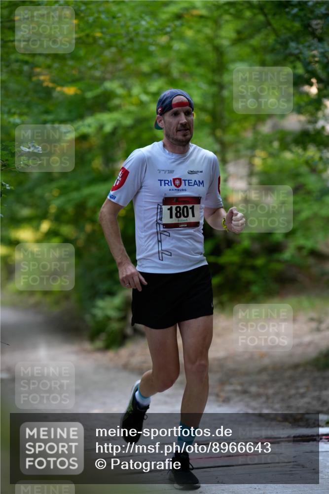 28.09.2025 - 33. Volkslauf durch das schöne Alstertal Patografie http://msf.ph/oto/8966643 28.09.2025 09:56:17 Laufen 1801 meine-sportfotos.de