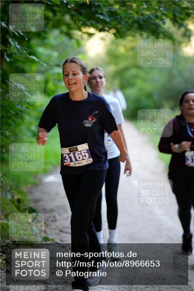 28.09.2025 - 33. Volkslauf durch das schöne Alstertal Patografie http://msf.ph/oto/8966653 28.09.2025 09:58:05 Laufen 3165 meine-sportfotos.de