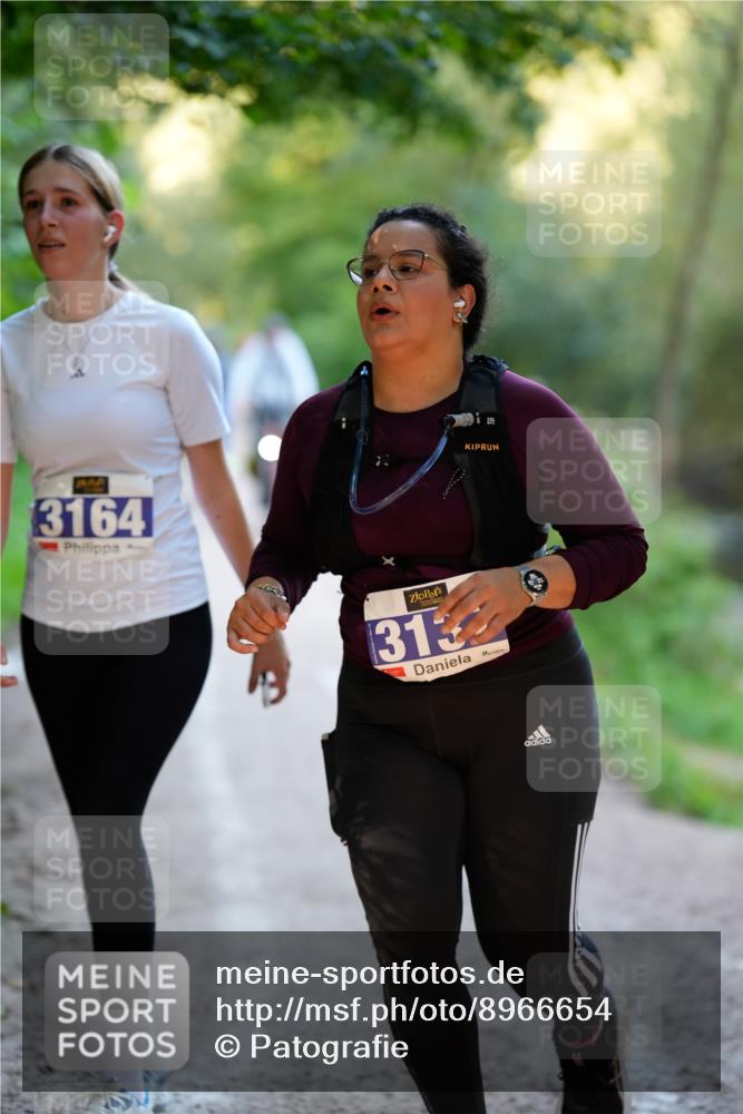 28.09.2025 - 33. Volkslauf durch das schöne Alstertal Patografie http://msf.ph/oto/8966654 28.09.2025 09:58:07 Laufen 3164, 3137 meine-sportfotos.de