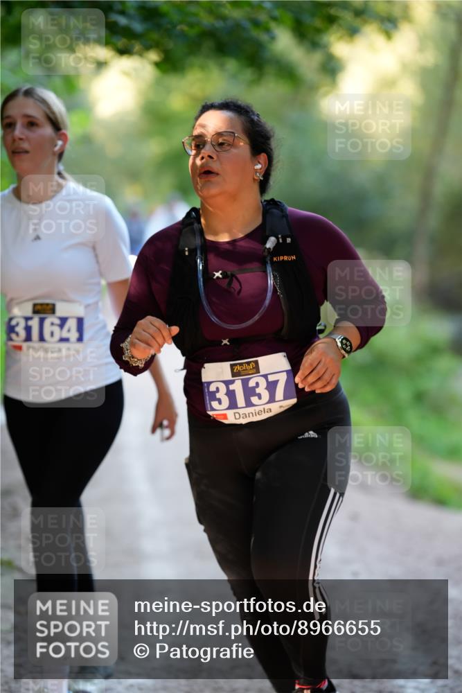 28.09.2025 - 33. Volkslauf durch das schöne Alstertal Patografie http://msf.ph/oto/8966655 28.09.2025 09:58:07 Laufen 3164, 3137 meine-sportfotos.de