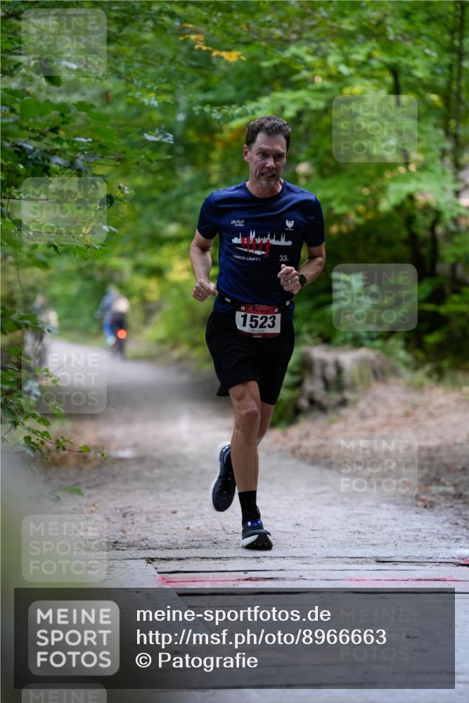 28.09.2025 - 33. Volkslauf durch das schöne Alstertal Patografie http://msf.ph/oto/8966663 28.09.2025 09:58:57 Laufen 33, 1523 meine-sportfotos.de