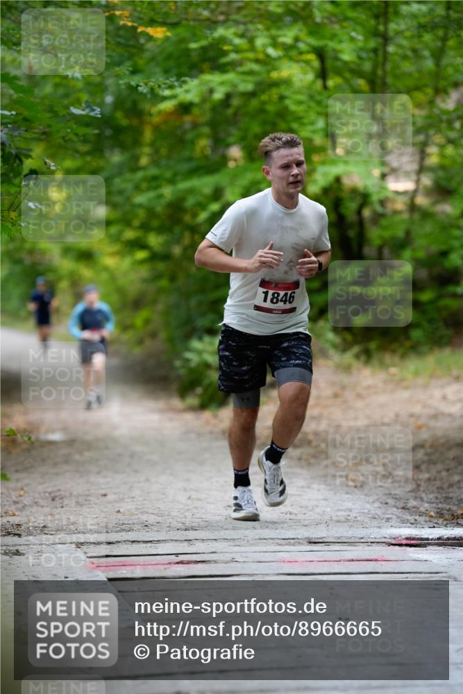 28.09.2025 - 33. Volkslauf durch das schöne Alstertal Patografie http://msf.ph/oto/8966665 28.09.2025 10:00:09 Laufen 1846 meine-sportfotos.de