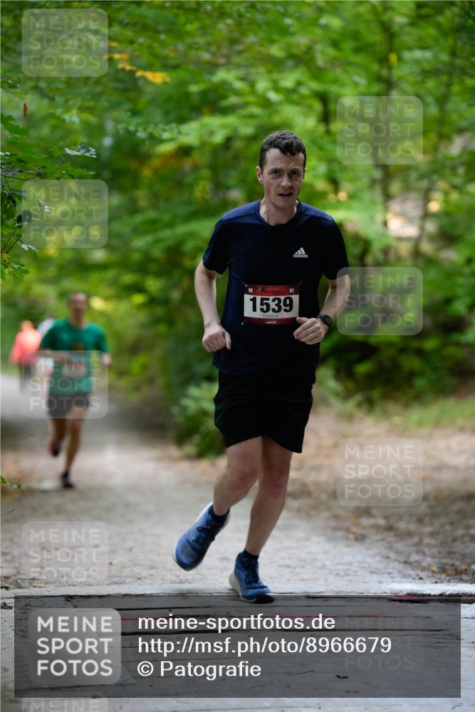 28.09.2025 - 33. Volkslauf durch das schöne Alstertal Patografie http://msf.ph/oto/8966679 28.09.2025 10:01:55 Laufen 1539 meine-sportfotos.de