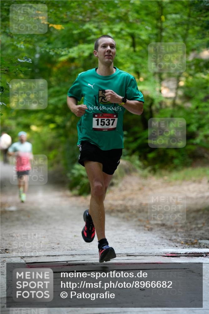28.09.2025 - 33. Volkslauf durch das schöne Alstertal Patografie http://msf.ph/oto/8966682 28.09.2025 10:01:57 Laufen 1537 meine-sportfotos.de