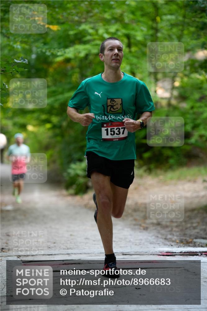 28.09.2025 - 33. Volkslauf durch das schöne Alstertal Patografie http://msf.ph/oto/8966683 28.09.2025 10:01:57 Laufen 1537 meine-sportfotos.de