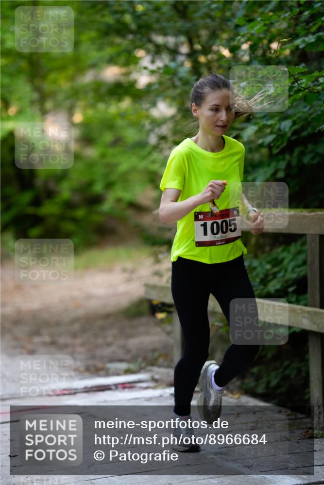 28.09.2025 - 33. Volkslauf durch das schöne Alstertal Patografie http://msf.ph/oto/8966684 28.09.2025 10:02:15 Laufen 1005 meine-sportfotos.de