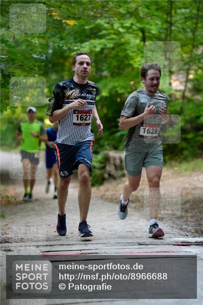 28.09.2025 - 33. Volkslauf durch das schöne Alstertal Patografie http://msf.ph/oto/8966688 28.09.2025 10:02:32 Laufen 43, 1627, 1628 meine-sportfotos.de