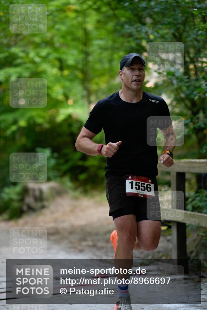 28.09.2025 - 33. Volkslauf durch das schöne Alstertal Patografie http://msf.ph/oto/8966697 28.09.2025 10:03:32 Laufen 1556 meine-sportfotos.de