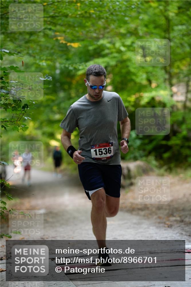 28.09.2025 - 33. Volkslauf durch das schöne Alstertal Patografie http://msf.ph/oto/8966701 28.09.2025 10:04:11 Laufen 1536 meine-sportfotos.de