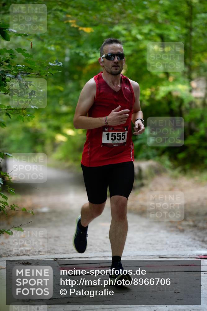 28.09.2025 - 33. Volkslauf durch das schöne Alstertal Patografie http://msf.ph/oto/8966706 28.09.2025 10:04:31 Laufen 1555 meine-sportfotos.de