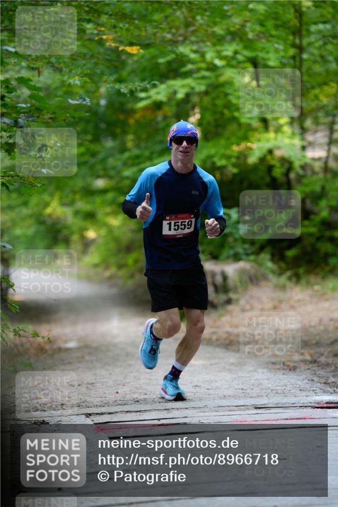 28.09.2025 - 33. Volkslauf durch das schöne Alstertal Patografie http://msf.ph/oto/8966718 28.09.2025 10:05:54 Laufen 1559 meine-sportfotos.de
