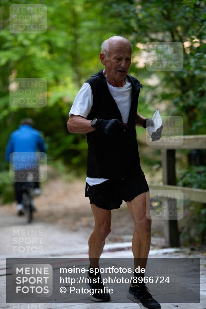 28.09.2025 - 33. Volkslauf durch das schöne Alstertal Patografie http://msf.ph/oto/8966724 28.09.2025 10:06:12 Laufen  meine-sportfotos.de
