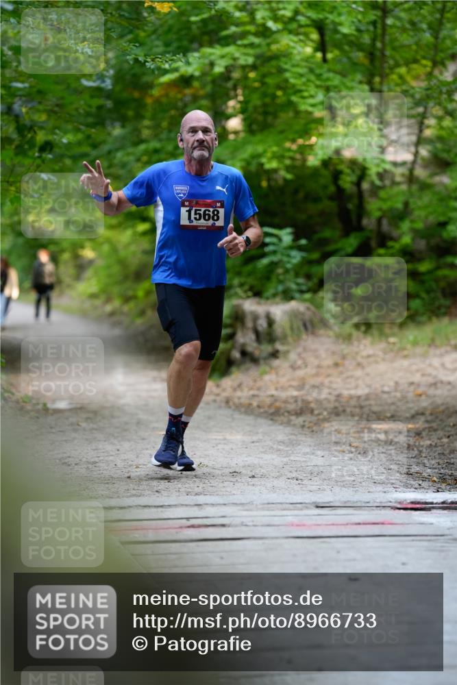 28.09.2025 - 33. Volkslauf durch das schöne Alstertal Patografie http://msf.ph/oto/8966733 28.09.2025 10:06:48 Laufen 1568 meine-sportfotos.de
