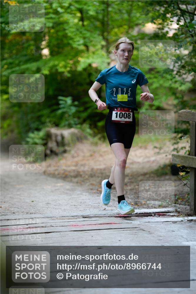 28.09.2025 - 33. Volkslauf durch das schöne Alstertal Patografie http://msf.ph/oto/8966744 28.09.2025 10:07:53 Laufen 2025, 1008 meine-sportfotos.de