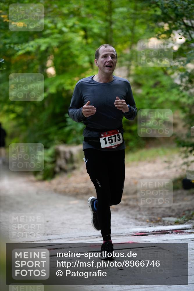 28.09.2025 - 33. Volkslauf durch das schöne Alstertal Patografie http://msf.ph/oto/8966746 28.09.2025 10:08:32 Laufen 1573 meine-sportfotos.de