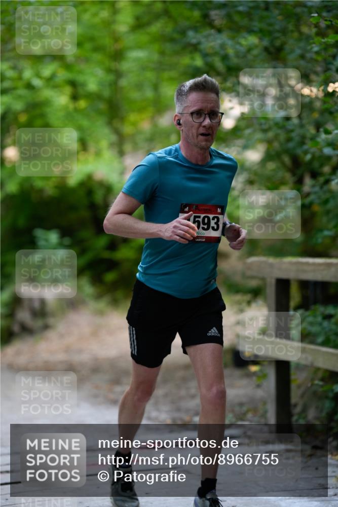 28.09.2025 - 33. Volkslauf durch das schöne Alstertal Patografie http://msf.ph/oto/8966755 28.09.2025 10:09:19 Laufen 1593 meine-sportfotos.de