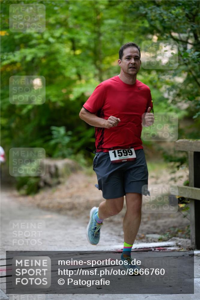 28.09.2025 - 33. Volkslauf durch das schöne Alstertal Patografie http://msf.ph/oto/8966760 28.09.2025 10:10:08 Laufen 1599 meine-sportfotos.de