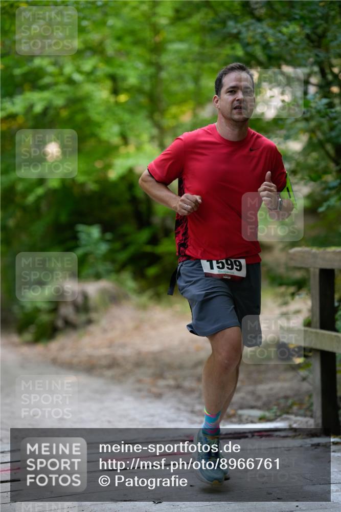 28.09.2025 - 33. Volkslauf durch das schöne Alstertal Patografie http://msf.ph/oto/8966761 28.09.2025 10:10:08 Laufen 1599 meine-sportfotos.de