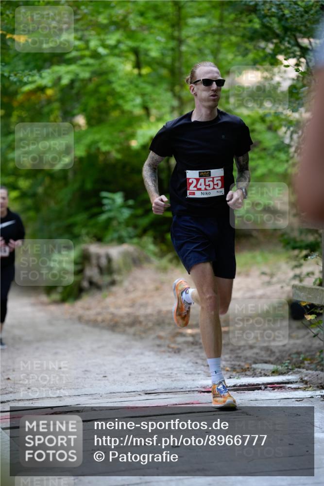 28.09.2025 - 33. Volkslauf durch das schöne Alstertal Patografie http://msf.ph/oto/8966777 28.09.2025 10:12:44 Laufen 2455 meine-sportfotos.de