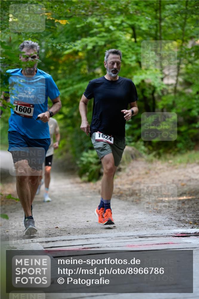 28.09.2025 - 33. Volkslauf durch das schöne Alstertal Patografie http://msf.ph/oto/8966786 28.09.2025 10:13:31 Laufen 1600, 1624 meine-sportfotos.de