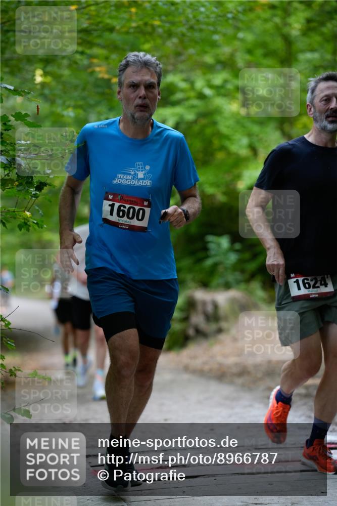 28.09.2025 - 33. Volkslauf durch das schöne Alstertal Patografie http://msf.ph/oto/8966787 28.09.2025 10:13:32 Laufen 1600, 1624 meine-sportfotos.de