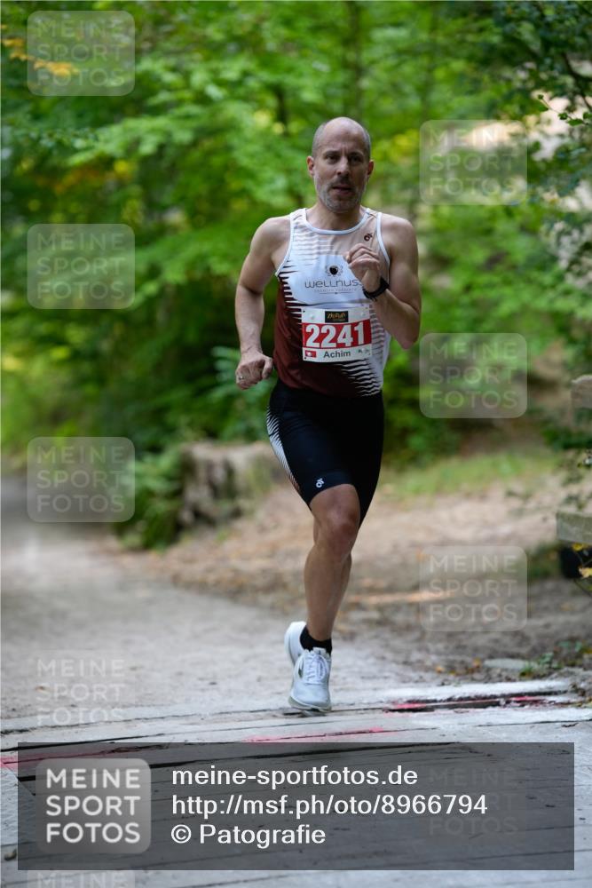 28.09.2025 - 33. Volkslauf durch das schöne Alstertal Patografie http://msf.ph/oto/8966794 28.09.2025 10:13:50 Laufen 2241 meine-sportfotos.de