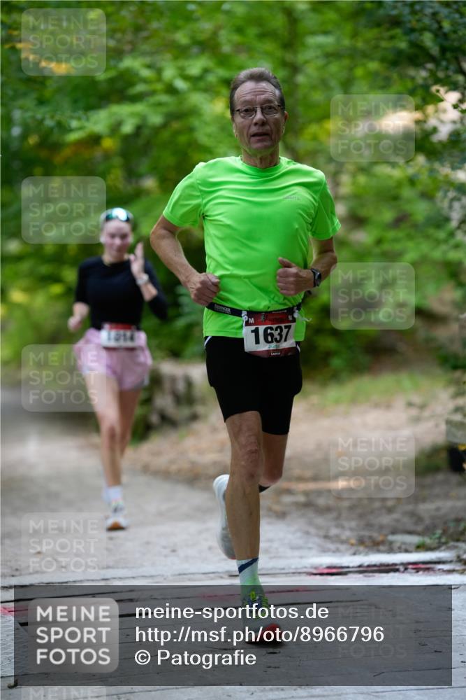 28.09.2025 - 33. Volkslauf durch das schöne Alstertal Patografie http://msf.ph/oto/8966796 28.09.2025 10:13:59 Laufen 1914, 1637 meine-sportfotos.de