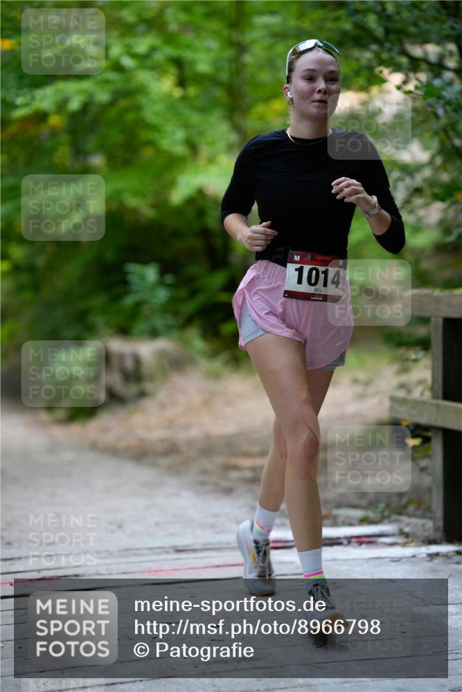 28.09.2025 - 33. Volkslauf durch das schöne Alstertal Patografie http://msf.ph/oto/8966798 28.09.2025 10:14:01 Laufen 1014 meine-sportfotos.de