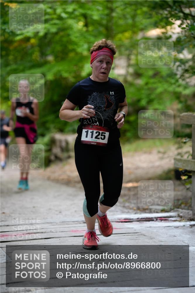 28.09.2025 - 33. Volkslauf durch das schöne Alstertal Patografie http://msf.ph/oto/8966800 28.09.2025 10:14:22 Laufen 1125 meine-sportfotos.de