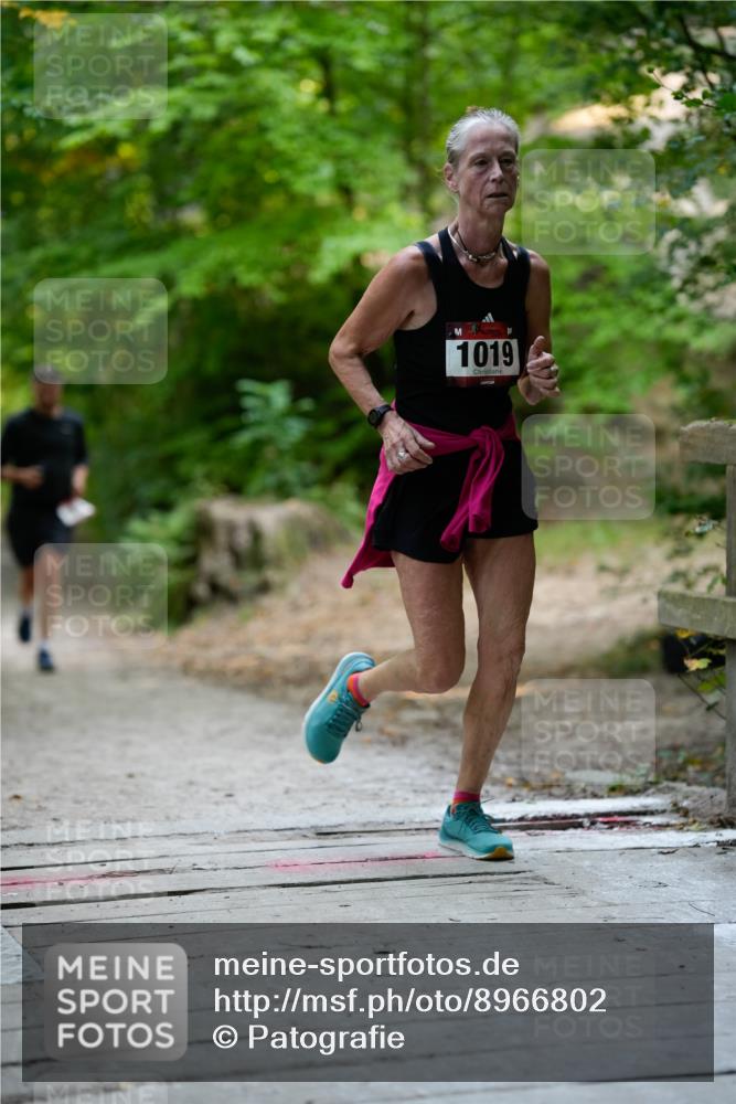 28.09.2025 - 33. Volkslauf durch das schöne Alstertal Patografie http://msf.ph/oto/8966802 28.09.2025 10:14:24 Laufen 1019 meine-sportfotos.de