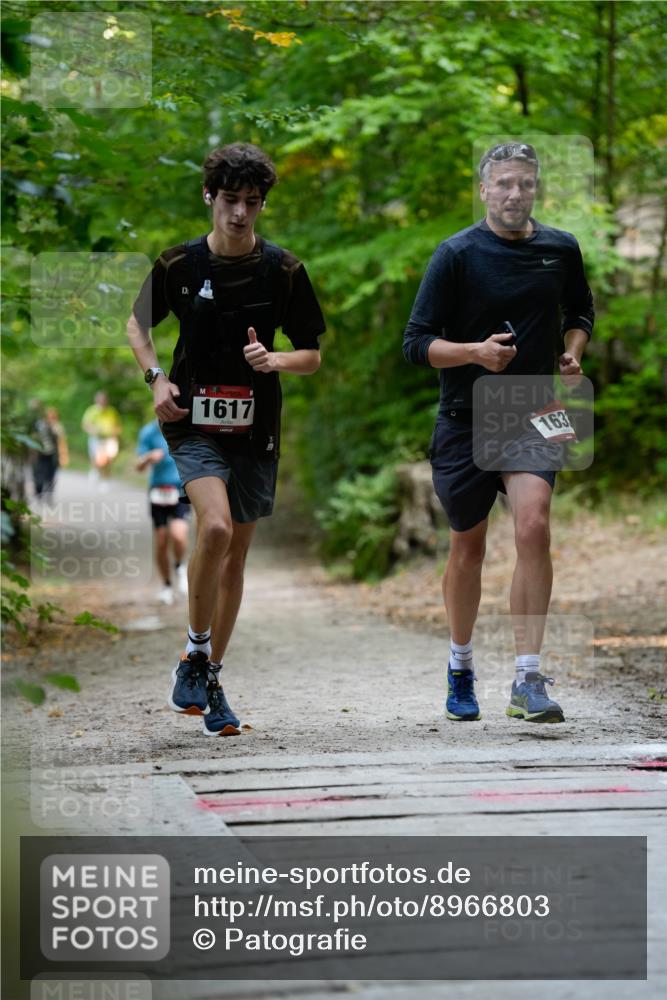 28.09.2025 - 33. Volkslauf durch das schöne Alstertal Patografie http://msf.ph/oto/8966803 28.09.2025 10:14:27 Laufen 1617, 163 meine-sportfotos.de