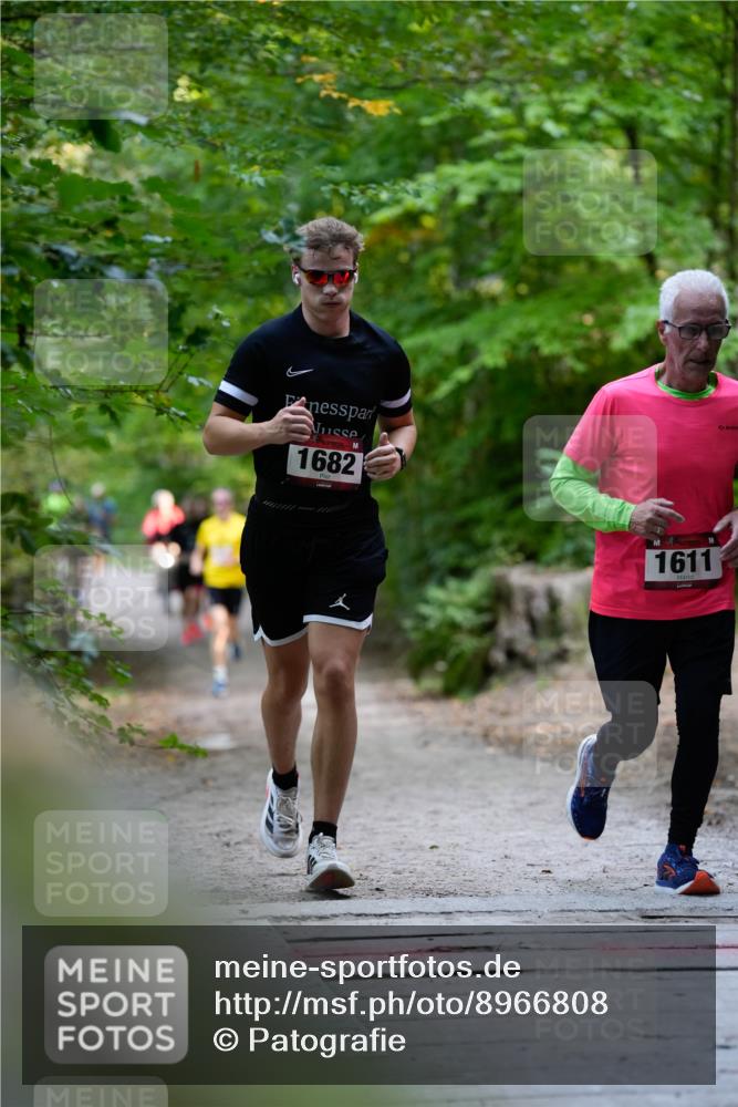 28.09.2025 - 33. Volkslauf durch das schöne Alstertal Patografie http://msf.ph/oto/8966808 28.09.2025 10:15:17 Laufen 1682, 1611 meine-sportfotos.de