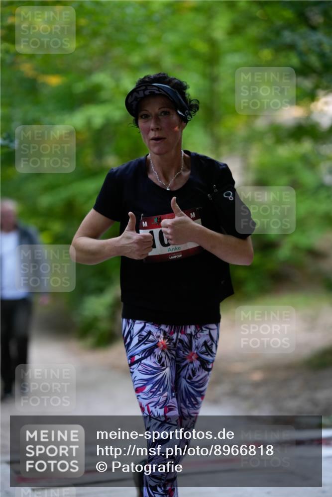 28.09.2025 - 33. Volkslauf durch das schöne Alstertal Patografie http://msf.ph/oto/8966818 28.09.2025 10:15:33 Laufen  meine-sportfotos.de