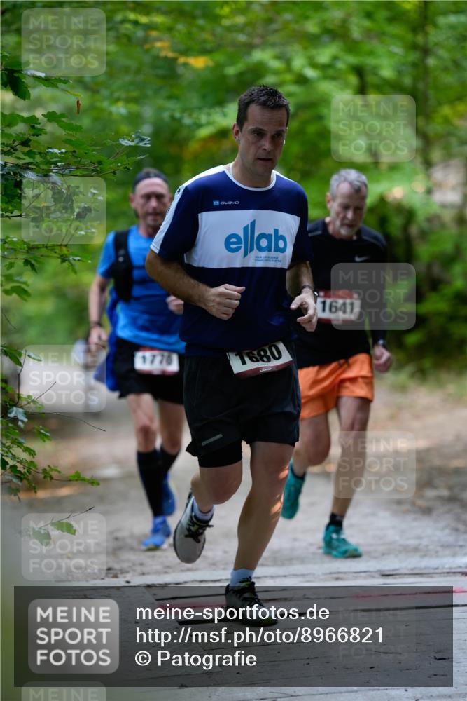 28.09.2025 - 33. Volkslauf durch das schöne Alstertal Patografie http://msf.ph/oto/8966821 28.09.2025 10:16:52 Laufen 1680, 1641 meine-sportfotos.de