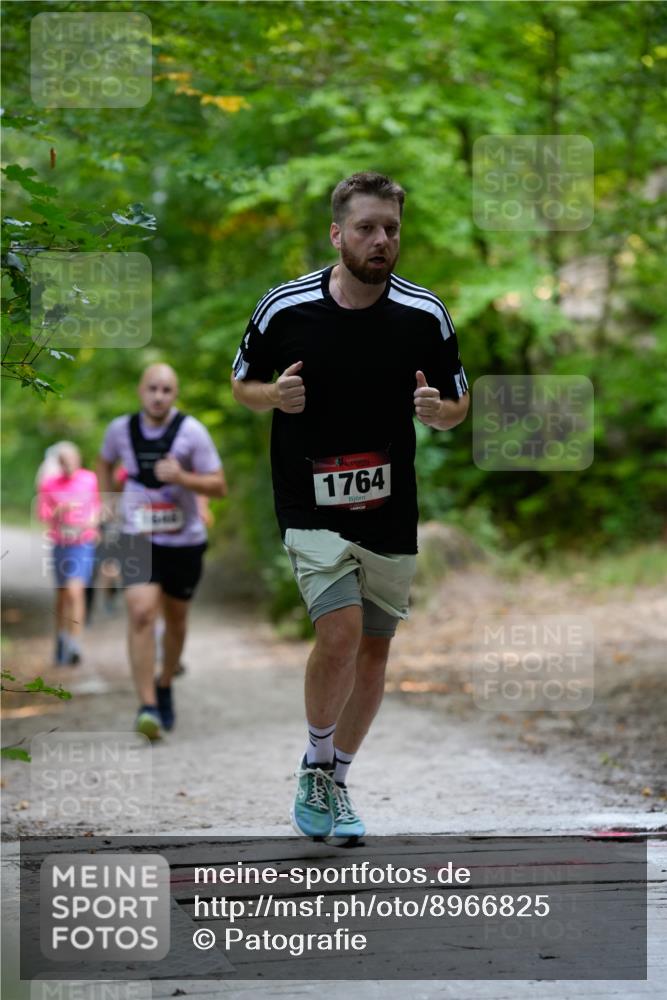 28.09.2025 - 33. Volkslauf durch das schöne Alstertal Patografie http://msf.ph/oto/8966825 28.09.2025 10:17:09 Laufen 1764 meine-sportfotos.de