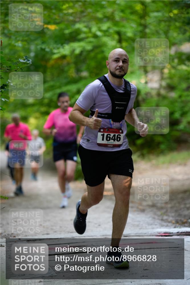 28.09.2025 - 33. Volkslauf durch das schöne Alstertal Patografie http://msf.ph/oto/8966828 28.09.2025 10:17:11 Laufen 1646 meine-sportfotos.de