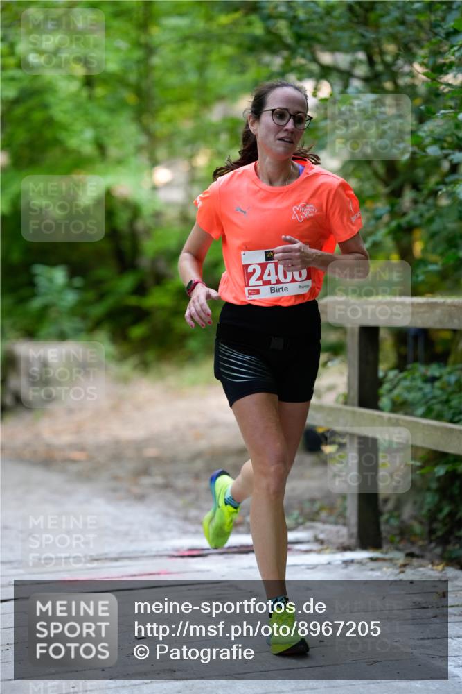 28.09.2025 - 33. Volkslauf durch das schöne Alstertal Patografie http://msf.ph/oto/8967205 28.09.2025 10:19:28 Laufen 2400 meine-sportfotos.de